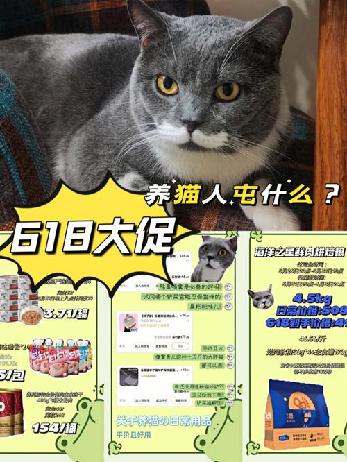 商店养猫合法吗？（虚拟养猫投资赚钱）