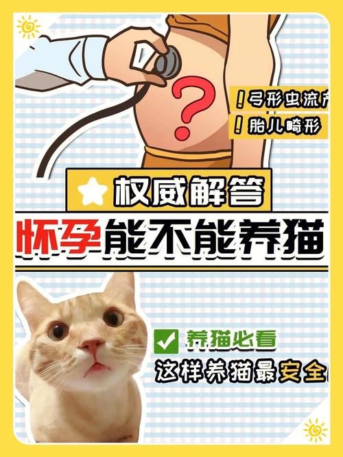 孕中期可以养猫吗？（孕期中期养猫）