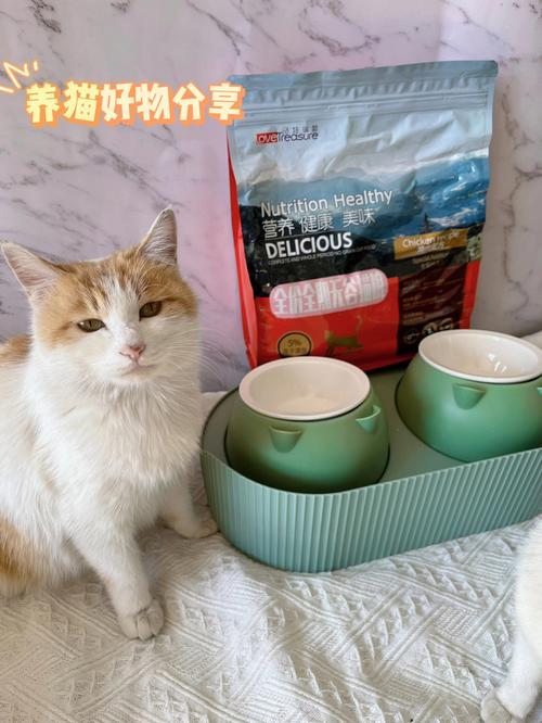 养猫必备用品有哪些？（养猫都要买啥）