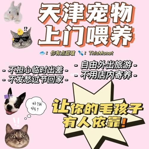 代遛狗养猫文案？（养猫广告词）