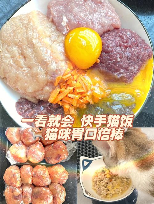 如何做猫饭？（做营养猫饭）