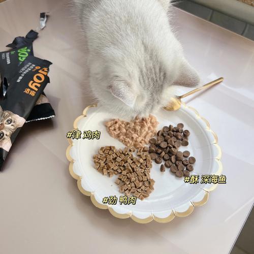 小猫喜欢吃什么食物？（家养猫和什么）