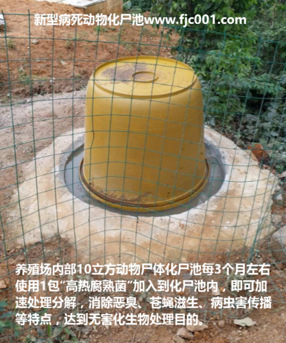 畜禽化尸池建应该怎么做呢？（生猪养殖统计）