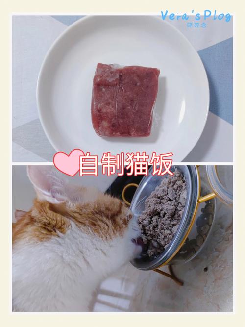 猫饭的科学配比？（肉食营养猫饭）