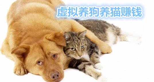 为什么总是限制养狗不限制养猫呢？（养狗式养猫）