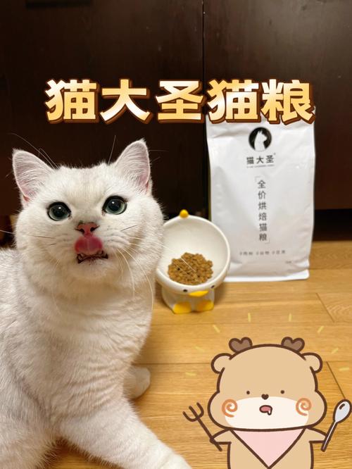 肉粉粮对猫有什么影响？（养猫的辣条）