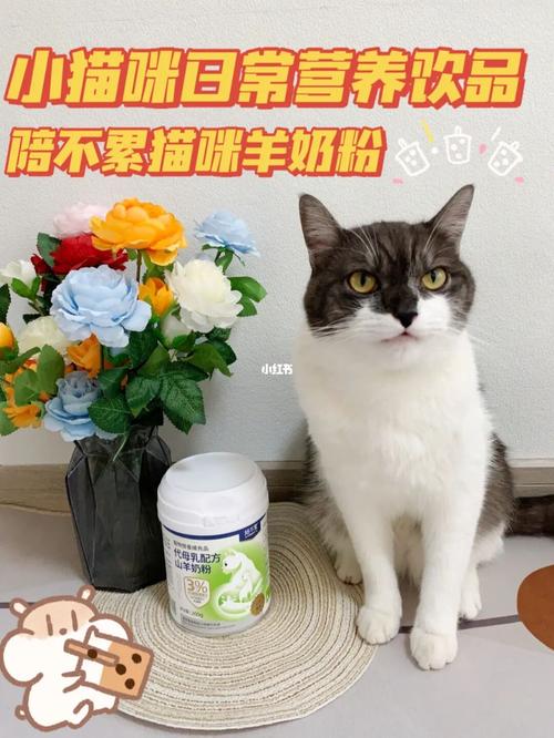 人喝的羊奶粉猫能喝吗。猫可以喝婴儿羊奶粉吗？（喜羊养猫后）