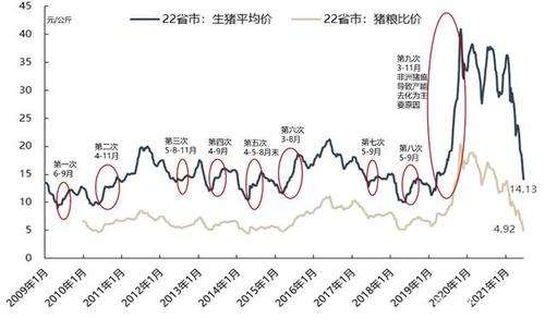 历史最低猪粮比？（历史生猪价格）