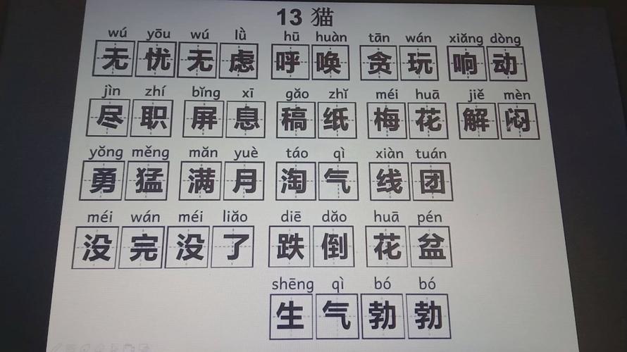 猫，课后生字词？（养猫咪的词）