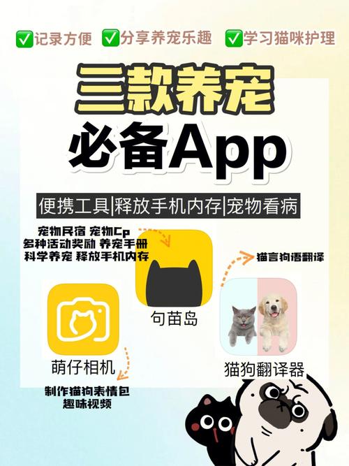 波波猴是什么动画片里的？（探探上养猫的）