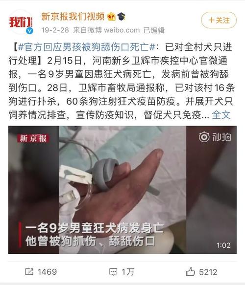 不小心被狗咬伤了，在老家打了宁波荣安生物狂犬疫苗，目前还有最后一支针没打，因为有事处理现人在深圳？（宁波想养狗）