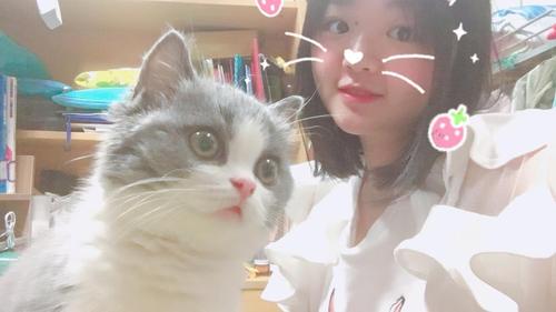 大学养猫真实感受？（青年人养猫）