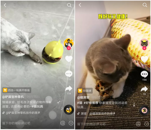 直播间养猫怎么挂上去？（抖音谁养猫）