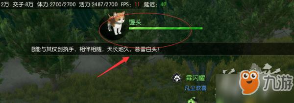 逆水寒流浪猫怎么养？（流浪狗养猫）