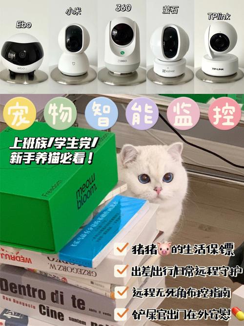 入户摄像头选购攻略？（入户门养猫）