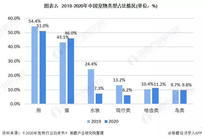 2021年全国流浪猫狗数量？（养猫咪的人数）