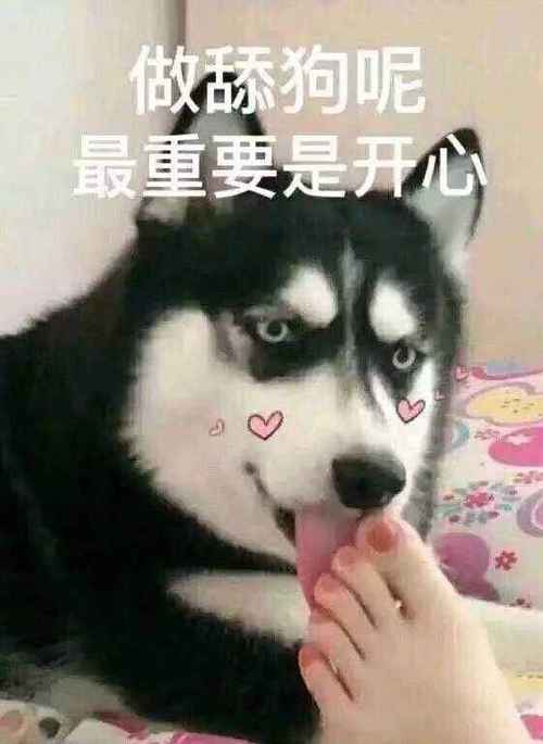 你们那里都有添人不添狗的说法吗？（养猫狗能辟邪）