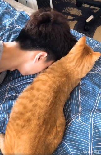 为什么有的人养猫难道很干净吗？（男生养猫图污）