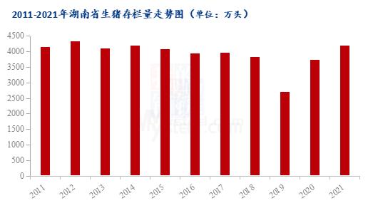 2021出栏生猪量排名？（湖南生猪养殖排行）