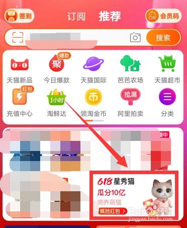 天猫喵退队之后怎么办？（淘宝养猫组队无法组队）