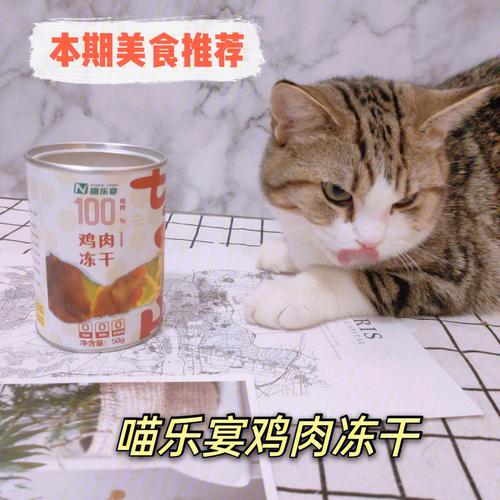 猫能吃啥零食？（养猫咪零食）