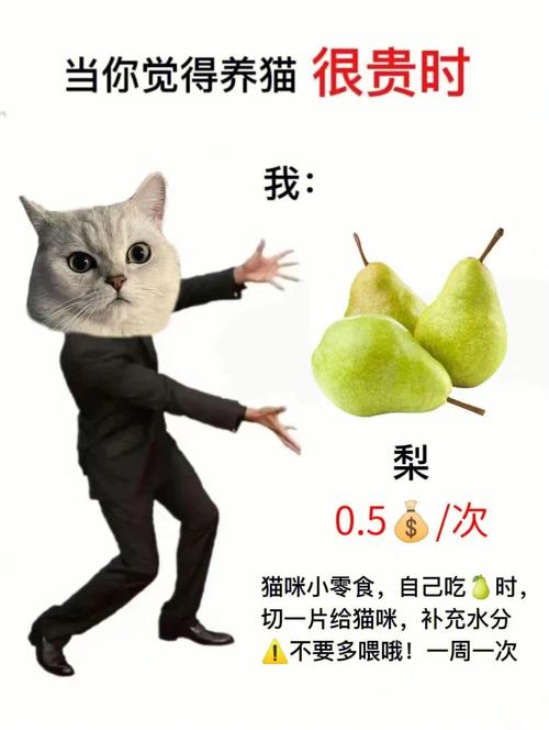 你养猫吗这个梗？（抖音养猫的梗）