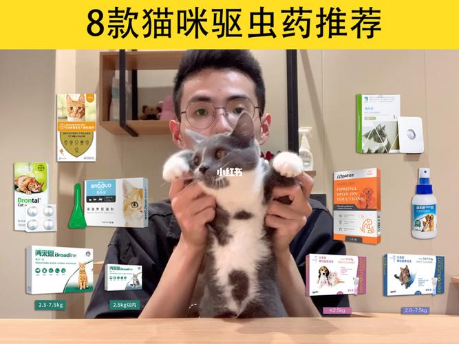 养猫必备三种药？（养猫打驱虫药）