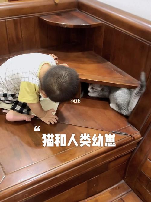 家里有小孩可以养猫吗？（养猫和小孩儿）