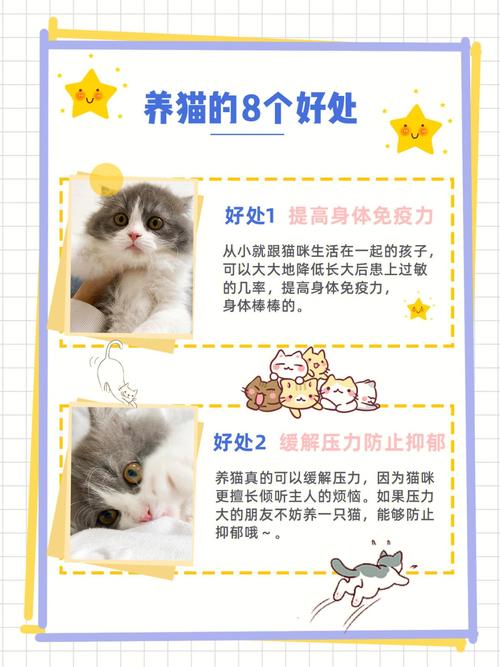 猫多多是什么意思？（养猫能提现吗）