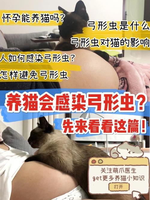 请问在家养猫也有会弓形虫吗？（散养猫弓形虫）