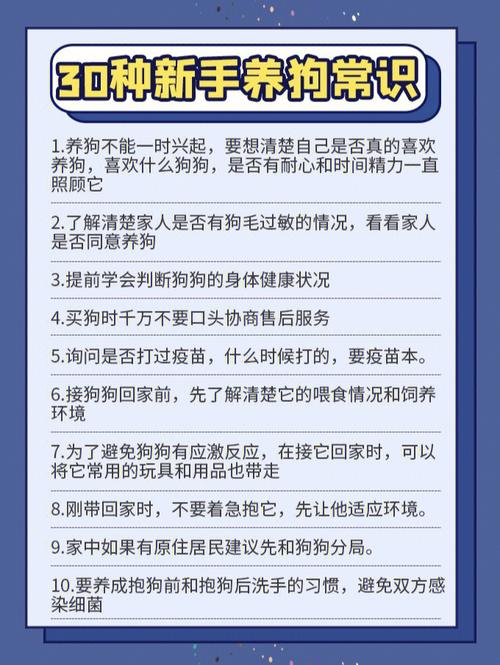 我想养狗但过几个月要工作了怕没时间照顾怎么办？（养狗但是时间）