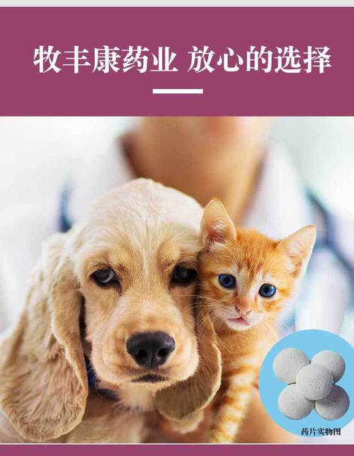 养猫和养狗需要什么东西？（养狗的药）