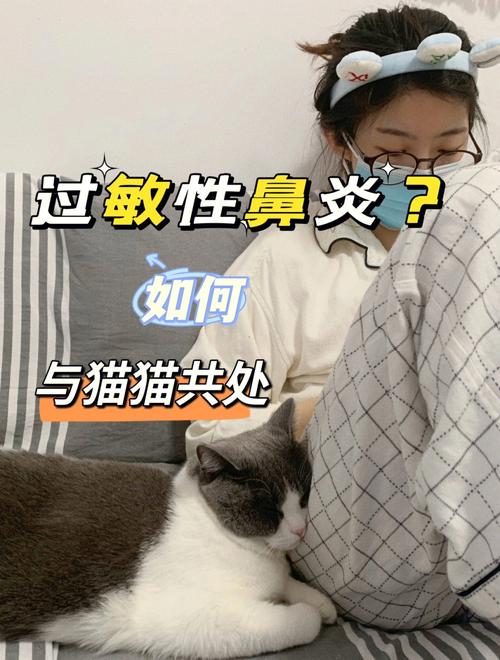 养猫会引起什么样的疾病?跟鼻炎、慢性支气管炎有关联吗？（养猫过敏性鼻炎）