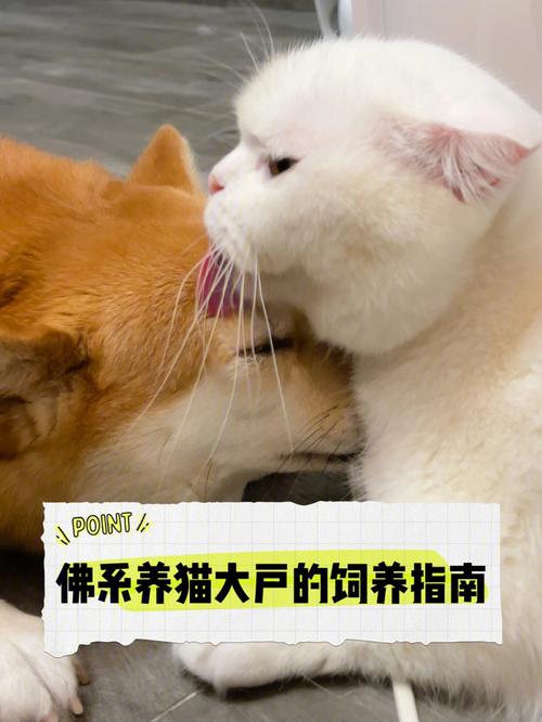 男孩养猫的好处和坏处？（佛系养猫儿子）