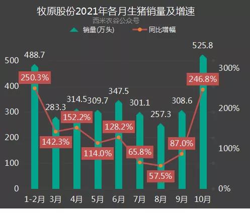 牧原占全国生猪市场的多少？（生猪养殖市场多大）