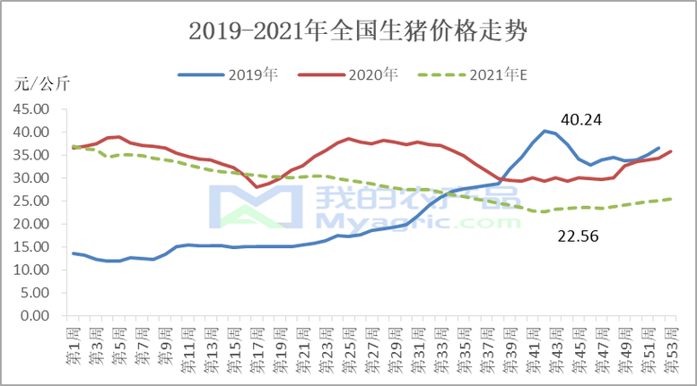 2003年下半年生猪行情走势？（生猪何时让流通）