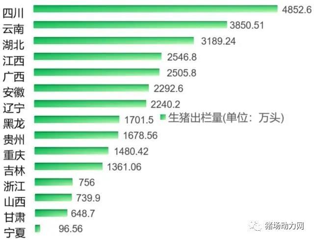 全国养猪存栏量排前五名的省份有那些？（山东各省生猪出栏）