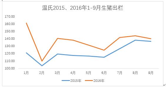 温氏猪多少天出栏？（温氏生猪收购）