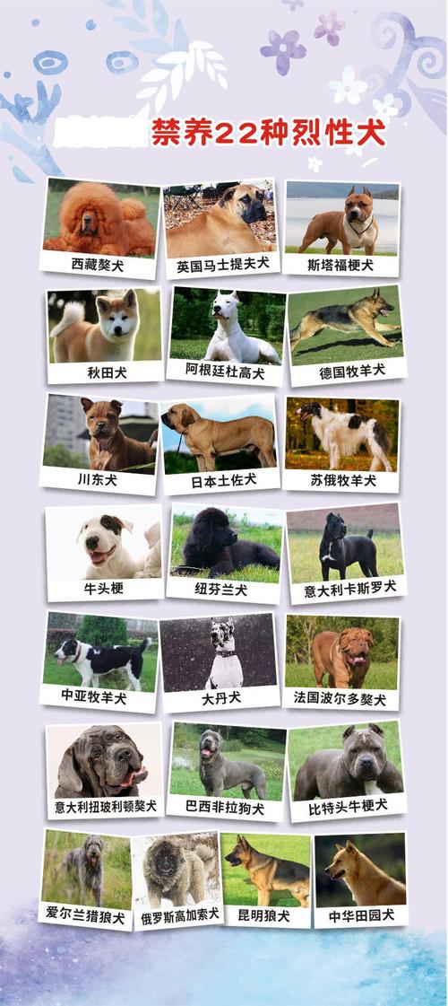 青海禁养犬什么时候解除？（几月不养狗）