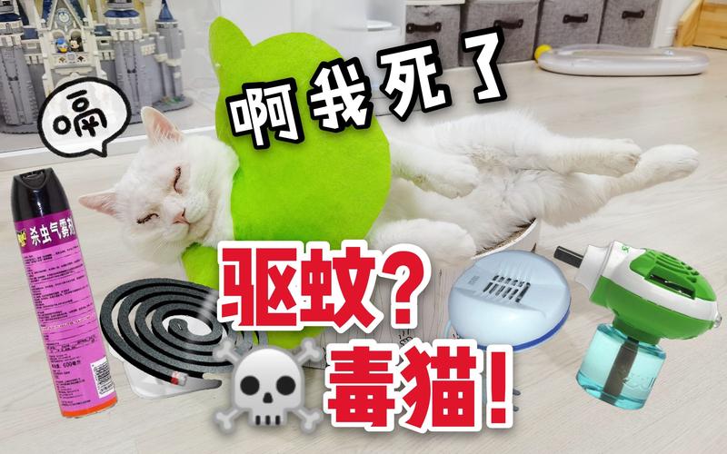 养猫点蚊香的正确方法？（养猫的家里可以点蚊香吗）