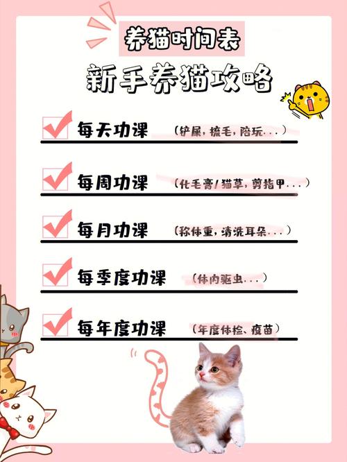 养猫步骤？（养猫.）