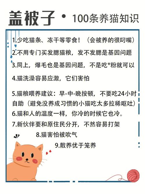 养猫技巧常识？（养猫要）