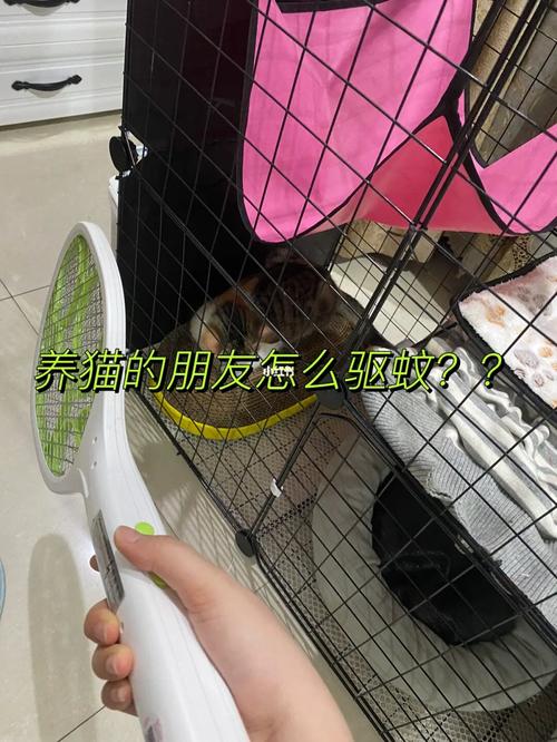 养猫能使用电蚊拍吗？（养猫打）