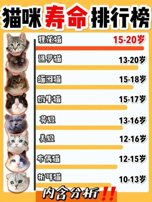 国内养猫品种数量排名？（都养猫）