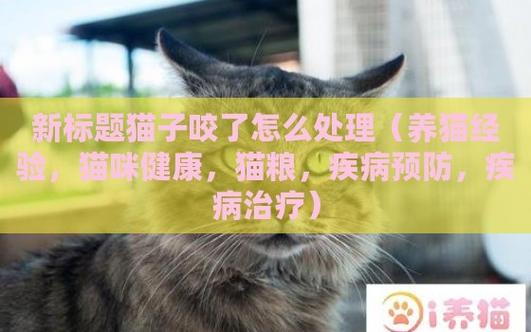 养猫又怕被猫咬到怎么办？（劝养猫）