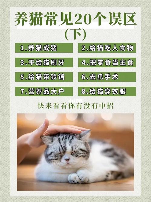 养猫的坏处和养猫的好处哪一个多？（养猫比）