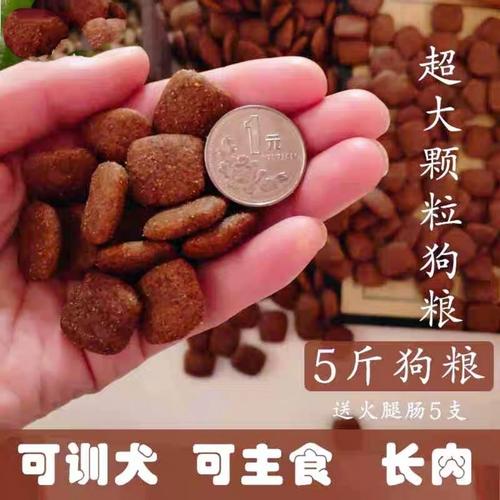 喂狗最便宜的饲料？（养狗词料）