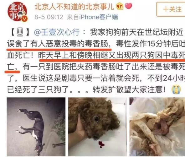 超级搞笑笑死人的笑话？（94年养狗）