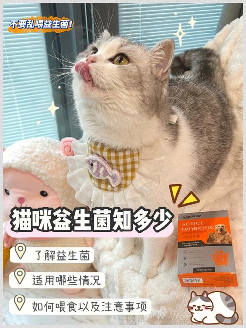 产妇可以养猫吗？（养猫菌）