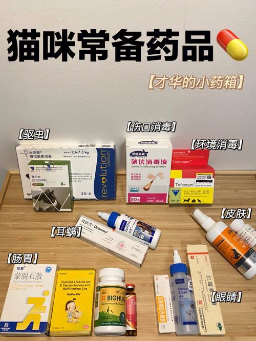 第一次养猫，需要在家中必备什么药品？（养猫膏）